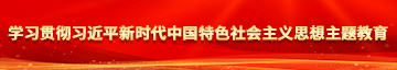 抠逼流水视频免费学习贯彻习近平新时代中国特色社会主义思想主题教育